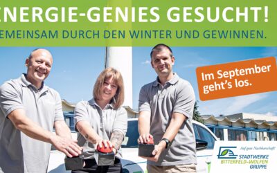 ENERGIE-GENIES GESUCHT