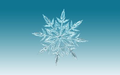 Wohlige Weihnachten und auf gute Nachbarschaft – unseren Kunden, Partnern und Freunden