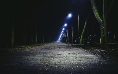 Portal zur Online 24/7 Störungsmeldung freigeschaltet – neuer Bürgerservice für die Straßenbeleuchtung in Bitterfeld-Wolfen